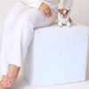 Princess Moana Teacup Chihuahua sitting for breeder on white backdrop