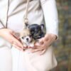 Mini Chihuahua puppies Bonnie and Clyde peeking out of the breeder's handbag