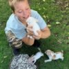 Brandon playing with Maya, Merribeth, Penny and Chico Chihuahua puppies on a lush green lawn during a joyful outdoor photoshoot