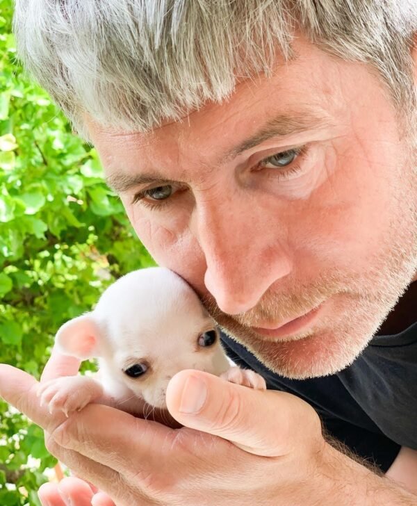 Breeder holding Chico Short Hair Chihuahua in a red flower garden