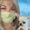 Selena breeder holding Creed creamy white short hair Chihuahua puppy