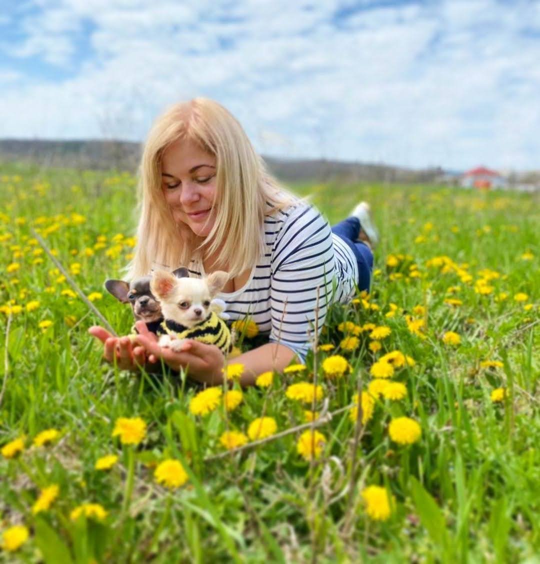 Breeder holding Chloe and Clyde Chihuahua puppies in a beautiful flower garden