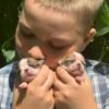 Brandon cuddling newborn Maya and Merribeth Teacup Chihuahua puppies close to his face indoors