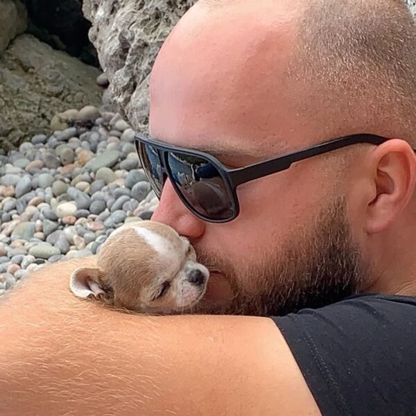 Pretty Penny Teacup Chihuahua sitting beside Uncle Mark while relaxing near the river.