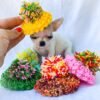 Pretty Penny Teacup Chihuahua posing while wearing an adorable decorative cap.