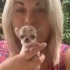 Breeder holding newborn Pretty Penny Teacup Chihuahua beside a colorful flower garden.