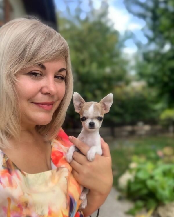Breeder smiling while holding Pretty Penny Teacup Chihuahua in a beautiful garden.
