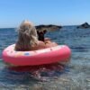 Choco chocolate long coat Chihuahua puppy with Selena on boat at lake