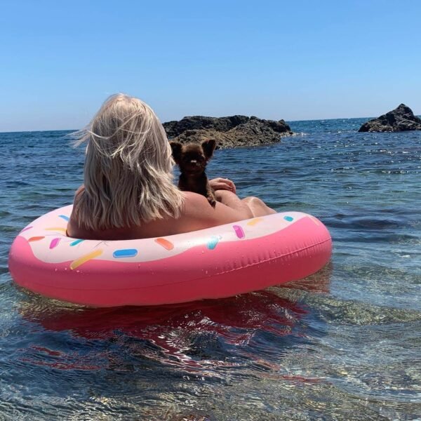 Choco chocolate long coat Chihuahua puppy with Selena on boat at lake