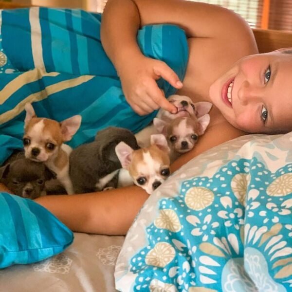 Brandon holding Pretty Penny Teacup Chihuahua and her siblings while relaxing on a bed.