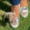 Pretty Penny Teacup Chihuahua following breeder Selena along a peaceful garden pathway.