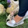 Pretty Penny Teacup Chihuahua walking beside breeder Selena among blooming garden flowers.