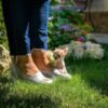 Breeder Selena walking with Pretty Penny Teacup Chihuahua through a colorful flower garden.