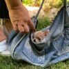 Pretty Penny Teacup Chihuahua sitting comfortably inside breeder Selena's shoulder bag during a garden walk.