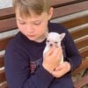 Brandon holding Mini-Bootsie Chihuahua puppy in green outdoor yard